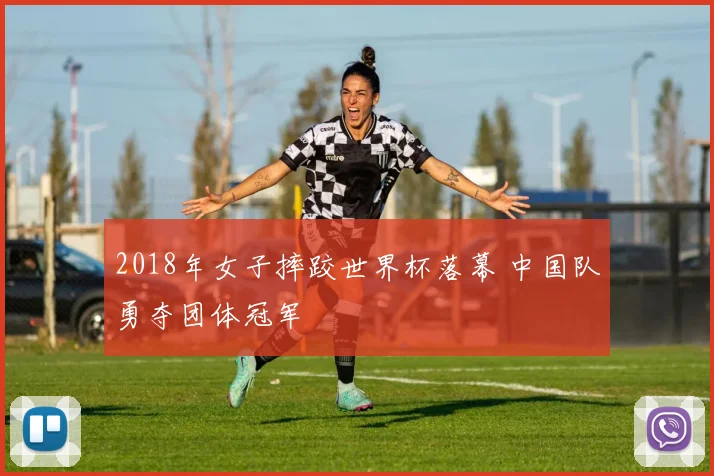 2018年女子摔跤世界杯落幕 中国队勇夺团体冠军