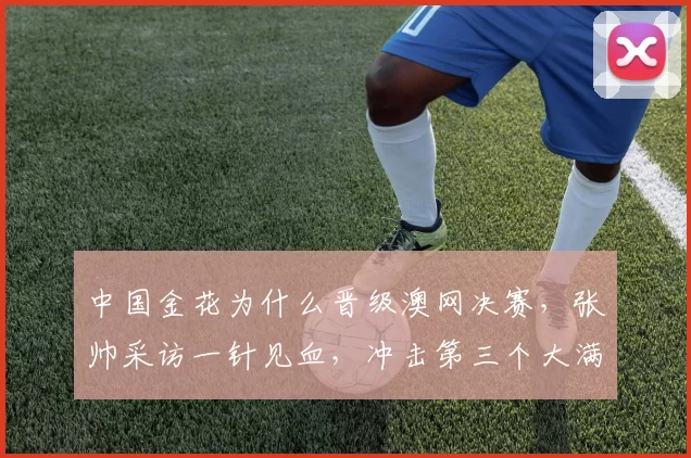 中国金花为什么晋级澳网决赛，张帅采访一针见血，冲击第三个大满贯