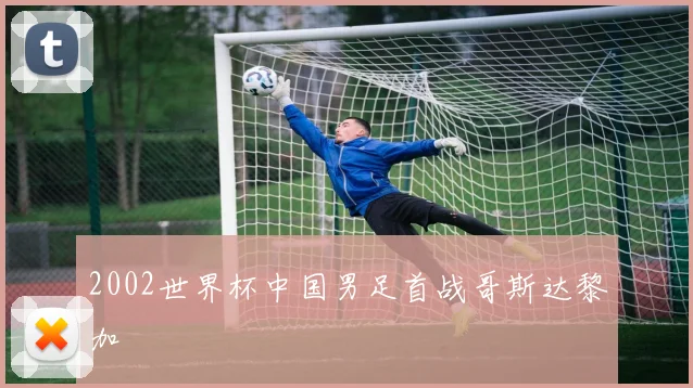 2002世界杯中国男足首战哥斯达黎加