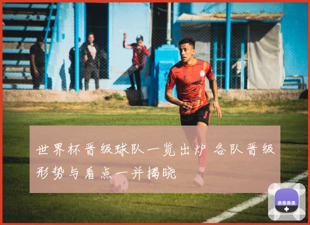 世界杯晋级球队一览出炉 各队晋级形势与看点一并揭晓